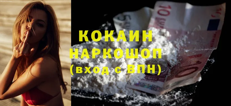 ссылка на мегу как войти  Лермонтов  площадка наркотические препараты  COCAIN 99% 