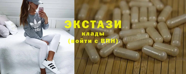 ECSTASY Горняк